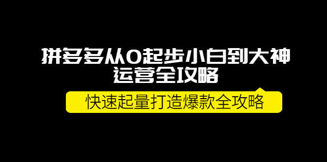 拼多多从0起步小白到大神运营全攻略，快速起量打造10W+爆款全攻略！-资源基地