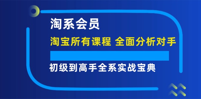 淘系会员【淘宝所有课程,全面分析对手】,初级到高手全系实战宝典-资源基地