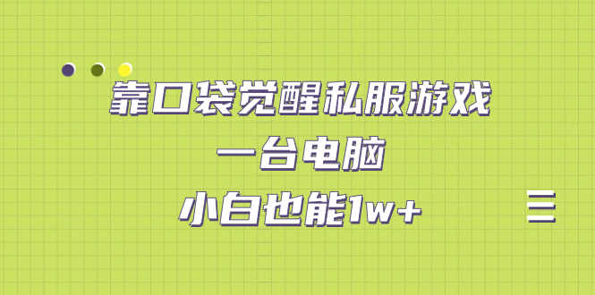 靠口袋觉醒私服游戏，一台电脑，小白也能1w+（教程+工具+资料）-资源基地