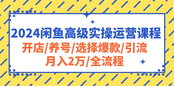 2024闲鱼高级实操运营课程:开店/养号/选择爆款/引流/月入2万/全流程-资源基地