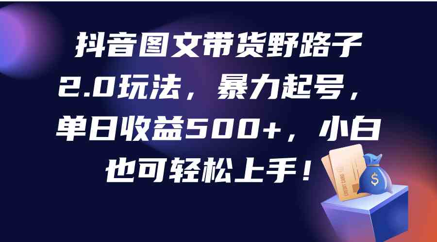 抖音图文带货野路子2.0玩法，暴力起号，单日收益500+，小白也可轻松上手！-资源基地