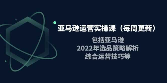 亚马逊运营实操课（每周更新）包括亚马逊2022选品策略解析，综合运营技巧等-资源基地