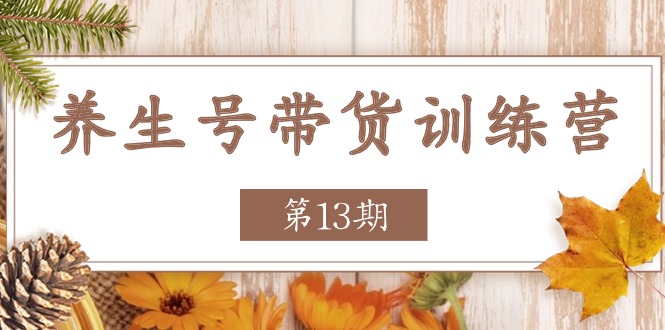 养生号-带货训练营【第13期】收益更稳定的玩法，让你带货收益爆炸-资源基地