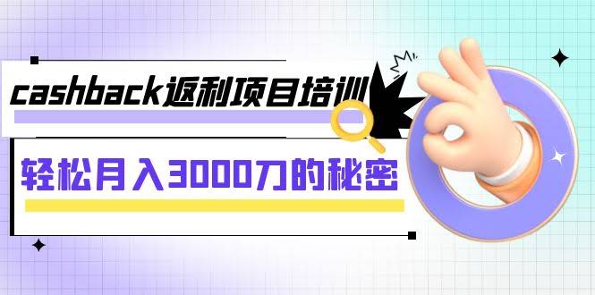 cashback返利项目培训：轻松月入3000刀的秘密（8节课）-资源基地