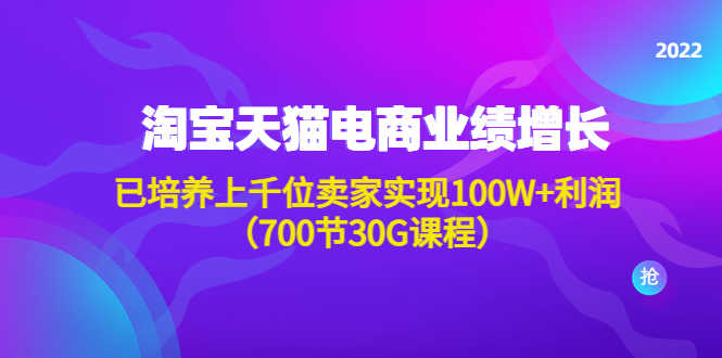 淘系天猫电商业绩增长：已培养上千位卖家实现100W+利润（700节30G课程）-资源基地