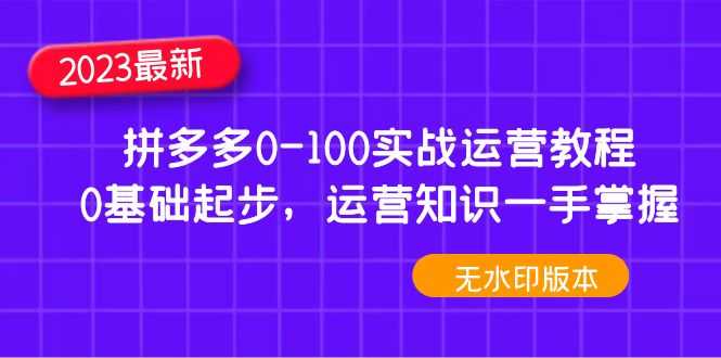 2023拼多多0-100实战运营教程,0基础起步,运营知识一手掌握(无水印)-资源基地