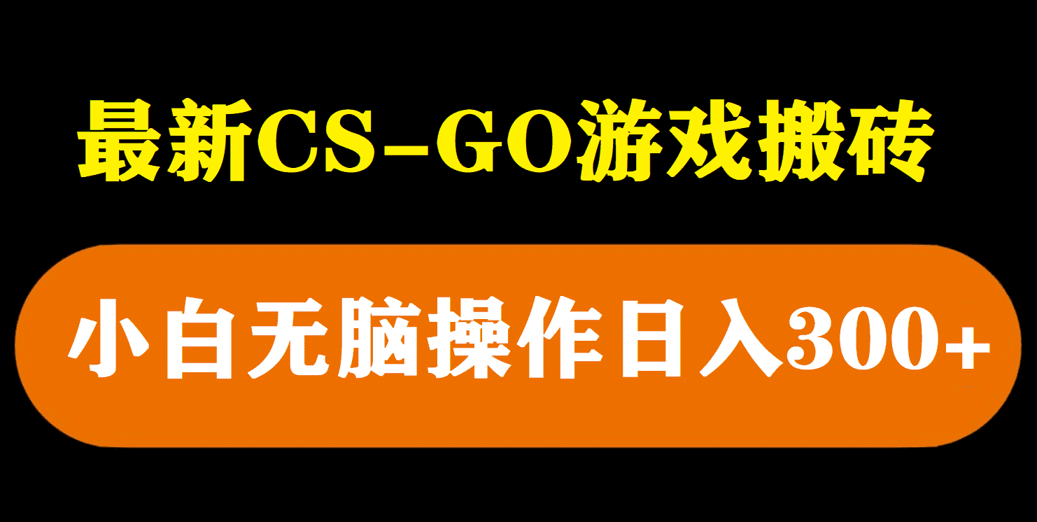 最新csgo游戏搬砖游戏，无需挂机小白无脑也能日入300+-资源基地