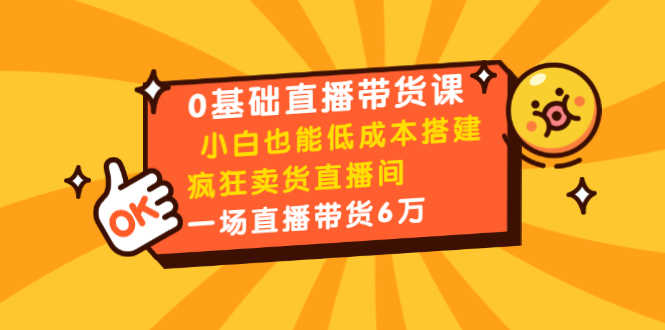 0基础直播带货课:小白也能低成本搭建疯狂卖货直播间:1场直播带货6万-资源基地
