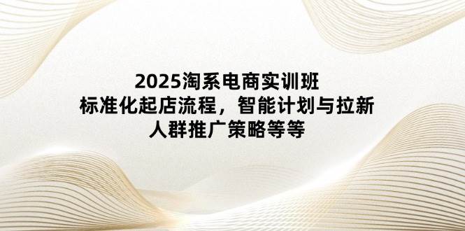 2025淘系电商实训班：标准化起店流程，智能计划与拉新，人群推广策略等等-资源基地
