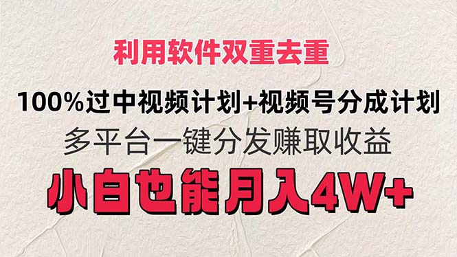 利用软件双重去重,100%过中视频+视频号分成计划小白也可以月入4W+-资源基地