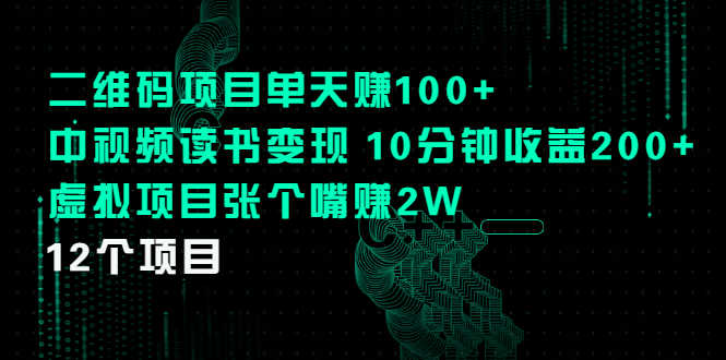 二维码项目单天赚100+中视频读书变现 10分钟收益200+虚拟项目张个嘴赚2W-资源基地