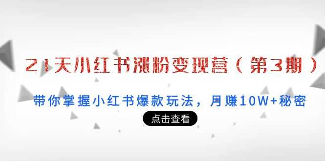 21天小红书涨粉变现营(第3期):带你掌握小红书爆款玩法,月赚10W+秘密-资源基地