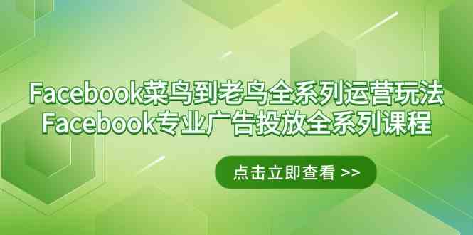 Facebook-菜鸟到老鸟全系列运营玩法+Facebook-专业广告投放全系列课程-资源基地