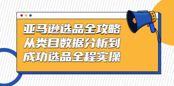 亚马逊选品全攻略:从类目数据分析到成功选品全程实操-资源基地