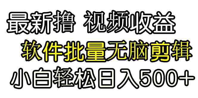 发视频撸收益，软件无脑批量剪辑，第一天发第二天就有钱-资源基地