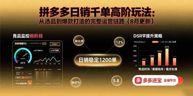 拼多多日销千单高阶玩法：从选品到爆款打造的完整运营链路（8月更新）-资源基地