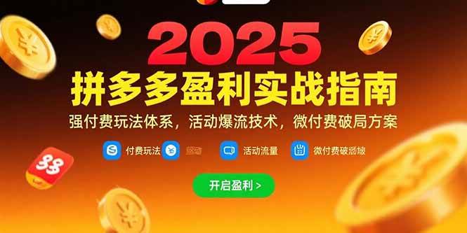 拼多多盈利实战指南,强付费玩法,活动爆流技术,微付费破局方案(更新7月)-资源基地