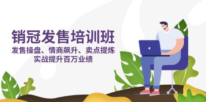 销冠 发售培训班:发售 操盘+情商 飙升+卖点 提炼,实战提升百万业绩-资源基地