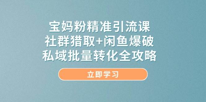宝妈粉精准引流课，社群猎取+闲鱼爆破，私域批量转化全攻略-资源基地