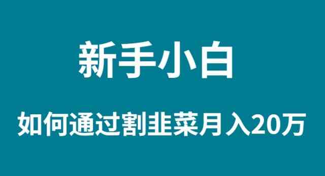 新手小白如何通过割韭菜月入 20W-资源基地