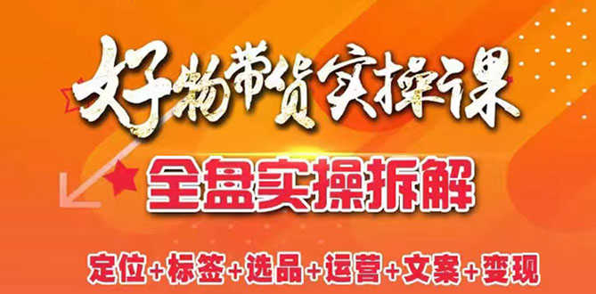 抖音好物带货实操课：全盘拆解抖音好物带货号全套流程打法-资源基地