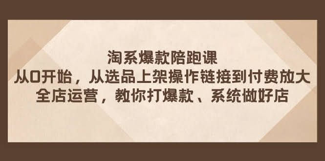 淘系爆款陪跑课 从选品上架操作链接到付费放大 全店运营 打爆款 系统做好店-资源基地