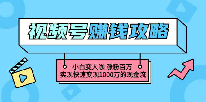 玩转微信视频号赚钱:小白变大咖 涨粉百万 实现快速变现1000万的现金流-资源基地