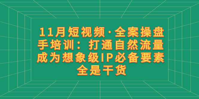 11月短视频·全案操盘手培训:打通自然流量 成为想象级IP必备要素 全是干货-资源基地