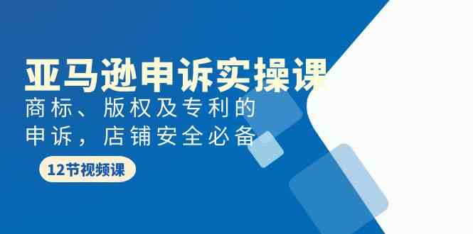 亚马逊-申诉实战课，​商标、版权及专利的申诉，店铺安全必备-资源基地