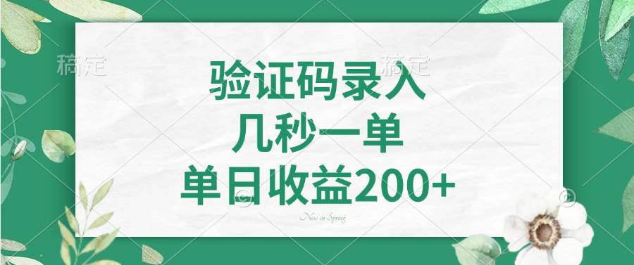 验证码录入,几秒一单,单日收益200+-资源基地