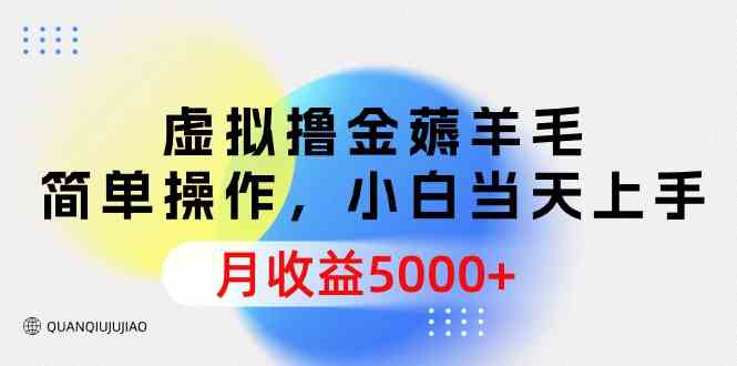 虚拟撸金薅羊毛，简单操作，小白当天上手，月收益5000+-资源基地