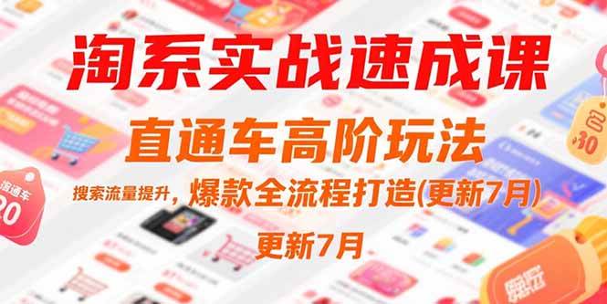淘系实战速成课,直通车高阶玩法,搜索流量提升,爆款全流程打造(更新7月)-资源基地