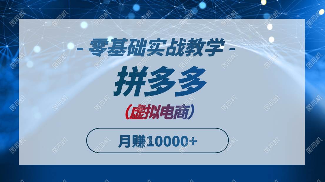 拼多多虚拟电商，零基础实战教学，快速打爆商品，新手也能月入10000+-资源基地