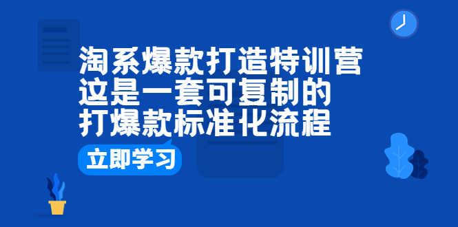 淘系爆款打造特训营:这是一套可复制的打爆款标准化流程-资源基地