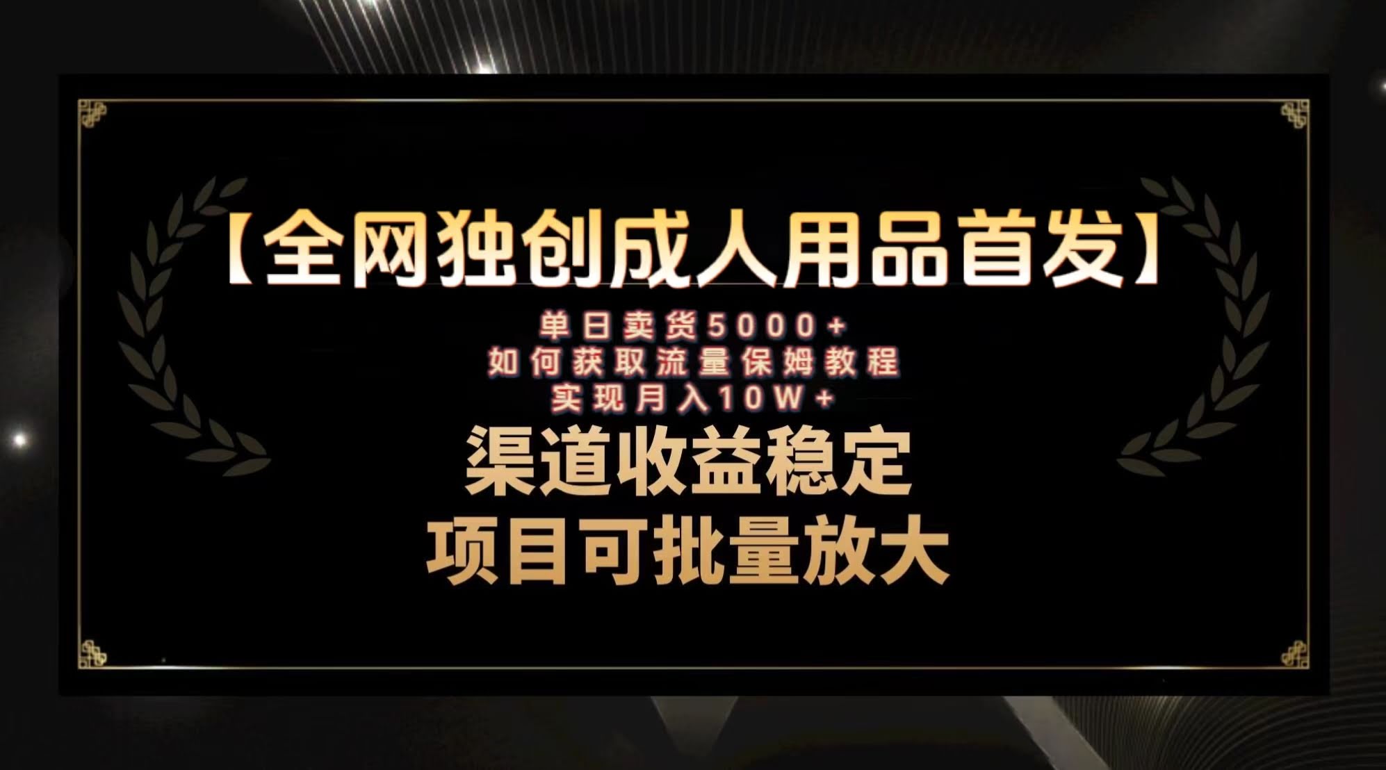 最新全网独创首发，成人用品赛道引流获客，月入10w保姆级教程-资源基地