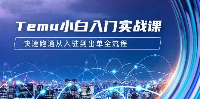 Temu小白入门实战课：跨境拼多多电商培训 快速跑通从入驻到出单全流程-12节-资源基地